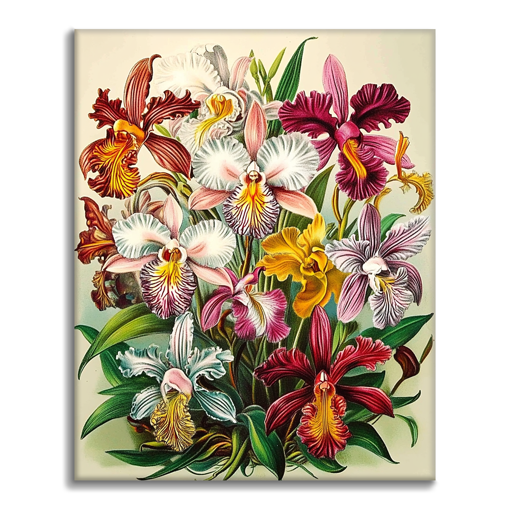 Orchidee Regali - Dipingere con i Numeri