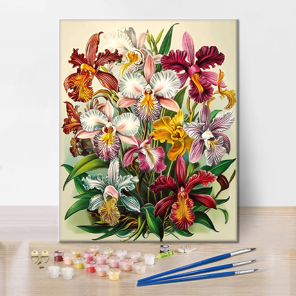 Orchidee Regali - Dipingere con i Numeri