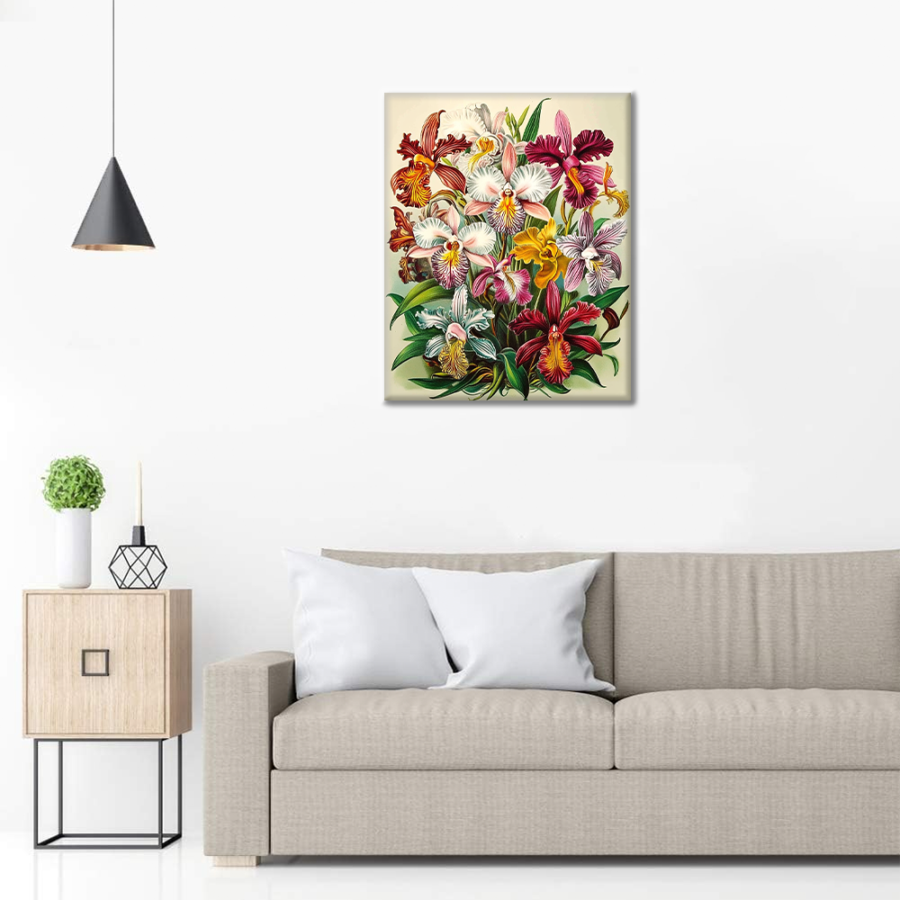 Orchidee Regali - Dipingere con i Numeri