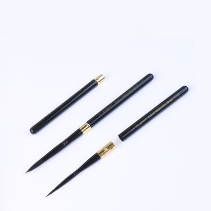 Pennello professionale rimovibile (6 pezzi)