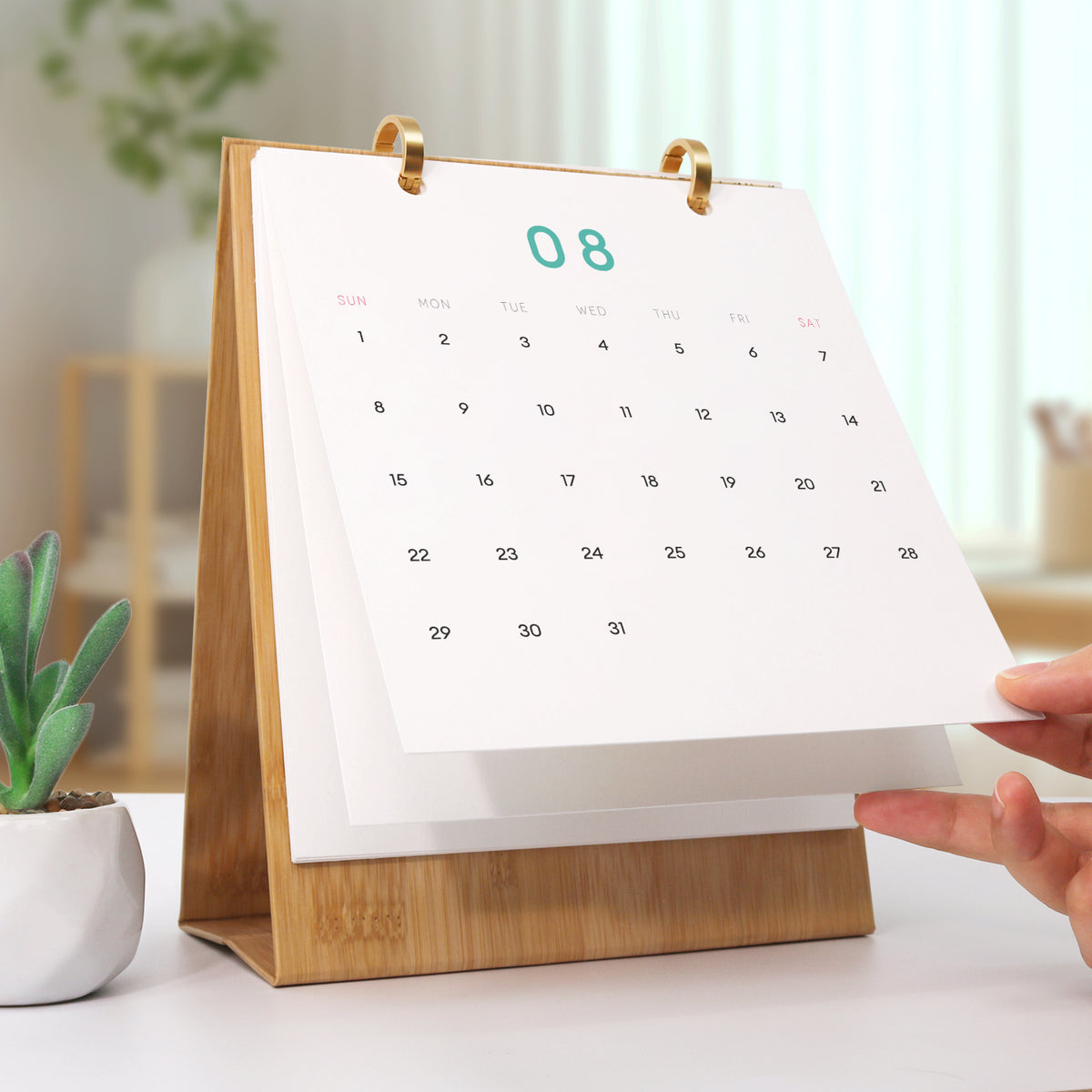 Edizione Botanica - Calendario da Scrivania 2027 da Dipingere con i Numeri