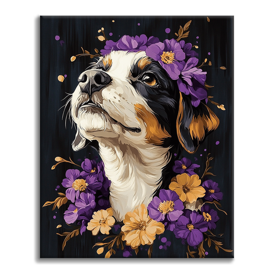 Cane Bernese - Dipingere con i Numeri