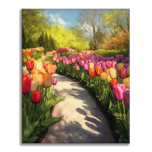 Sentiero di Tulipani - Dipingere con i Numeri