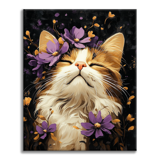 Gatto Ragdoll - Dipingere con i Numeri