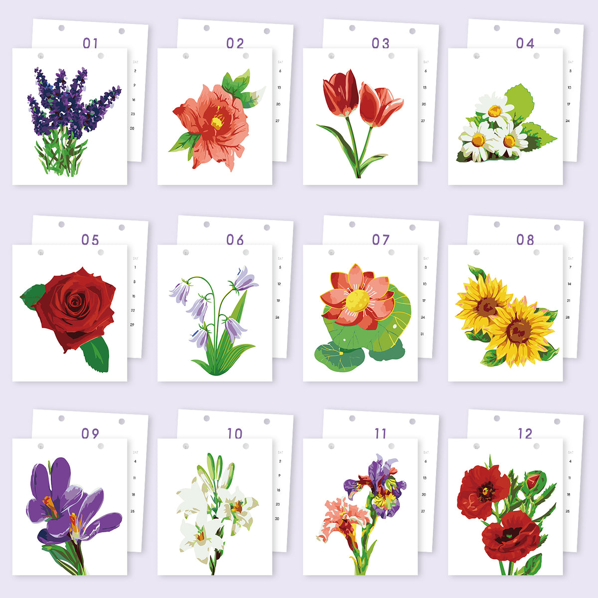 Edizione Fiori - Calendario da Scrivania 2027 da Dipingere con i Numeri