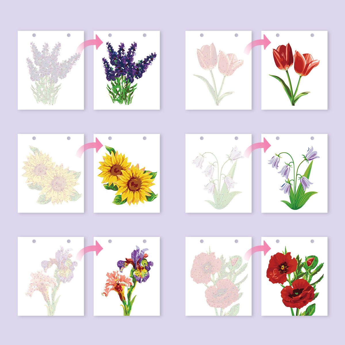Edizione Fiori - Calendario da Scrivania 2027 da Dipingere con i Numeri