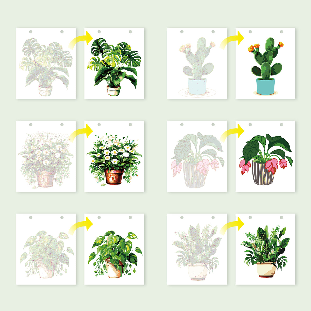 Edizione Botanica - Calendario da Scrivania 2027 da Dipingere con i Numeri