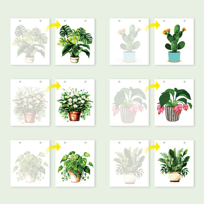 Edizione Botanica - Calendario da Scrivania 2027 da Dipingere con i Numeri