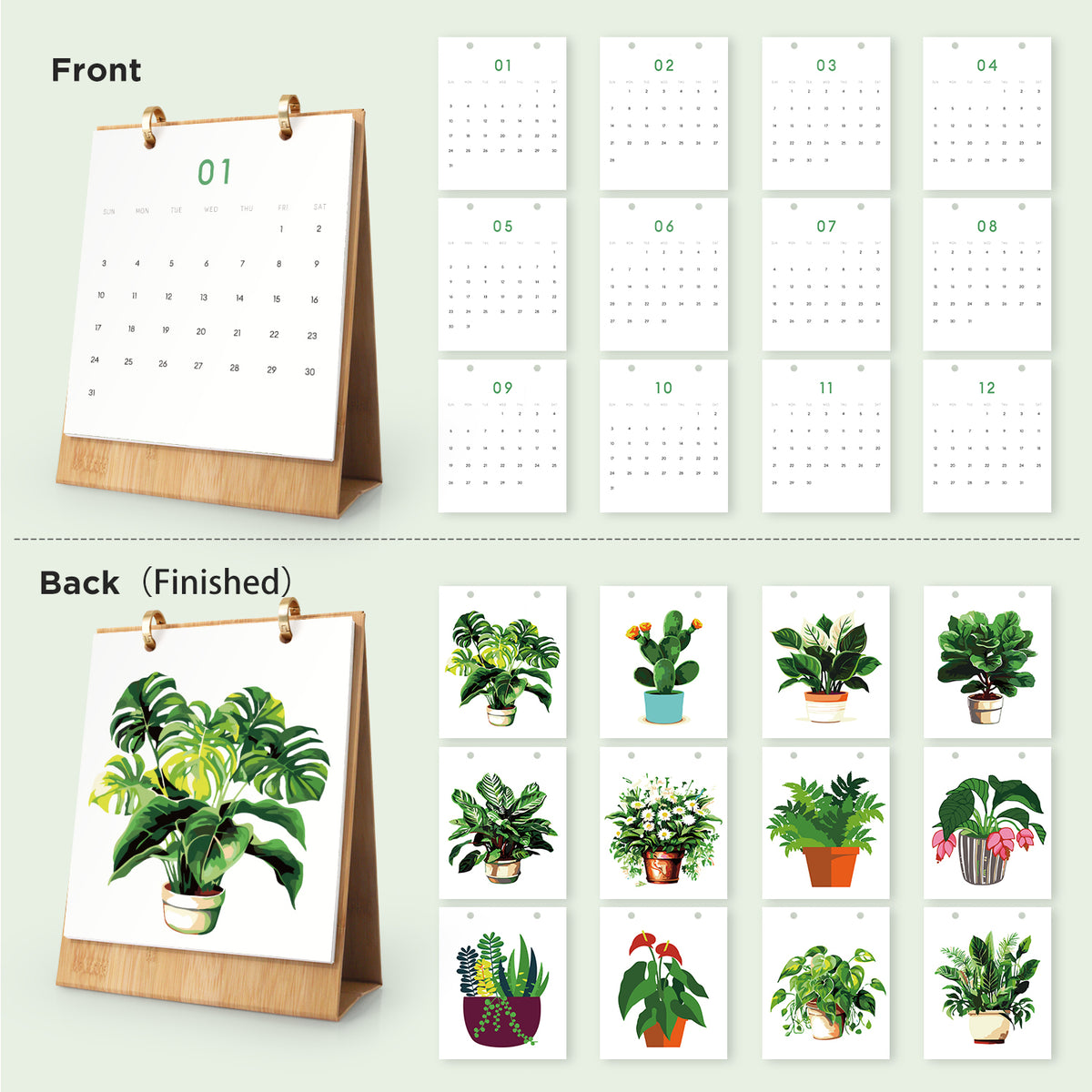 Edizione Botanica - Calendario da Scrivania 2027 da Dipingere con i Numeri