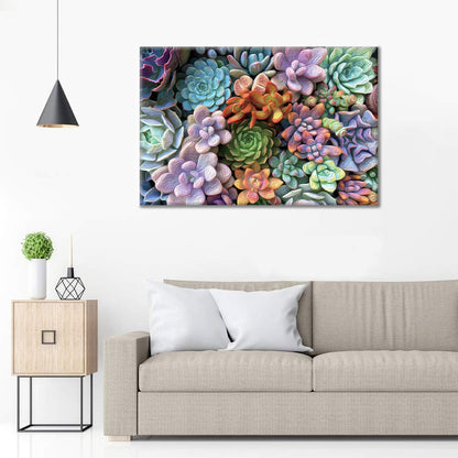 Piante succulente - Dipingere con i Numeri