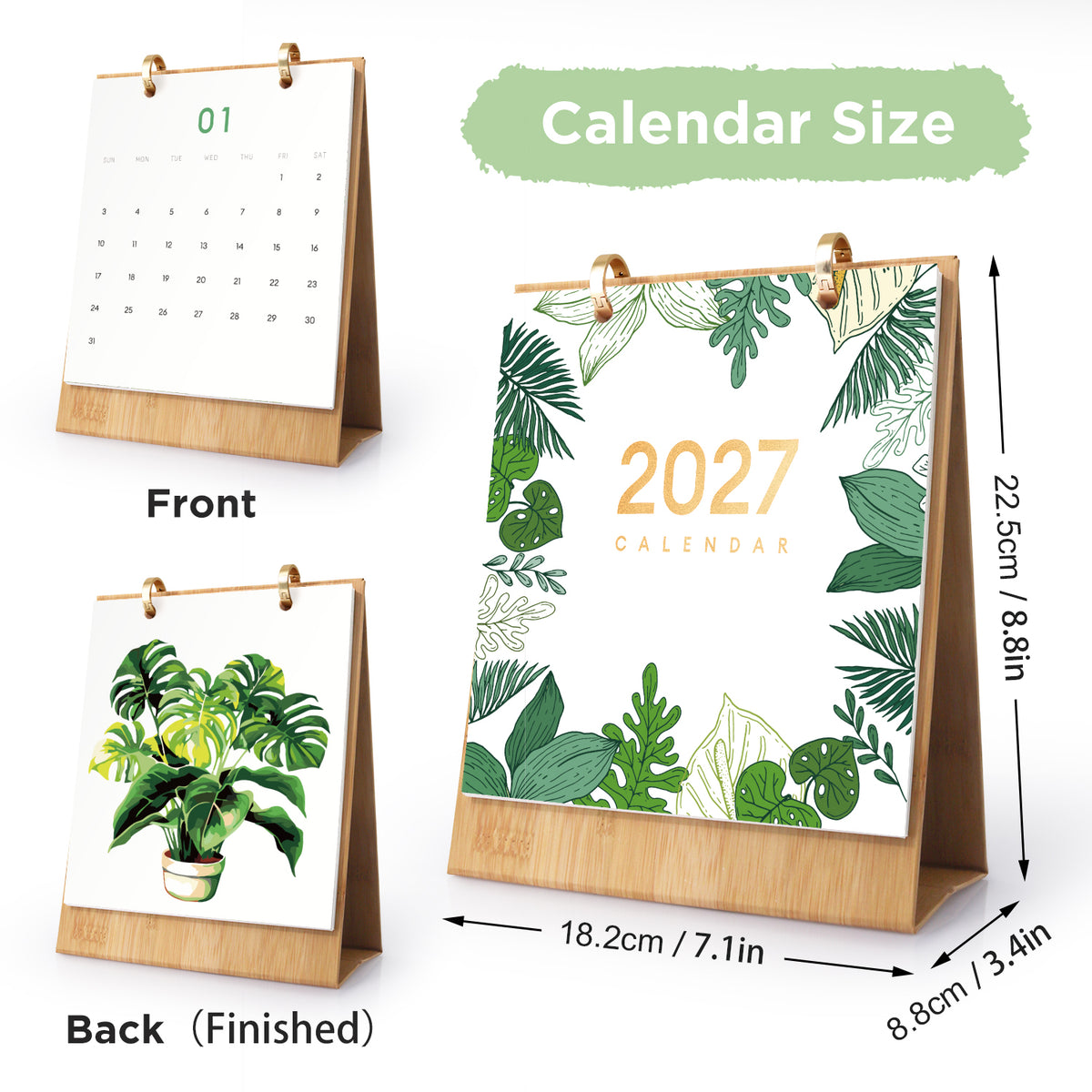 Edizione Botanica - Calendario da Scrivania 2027 da Dipingere con i Numeri