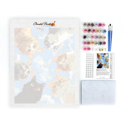 Peekaboo - Dipingere con i Numeri