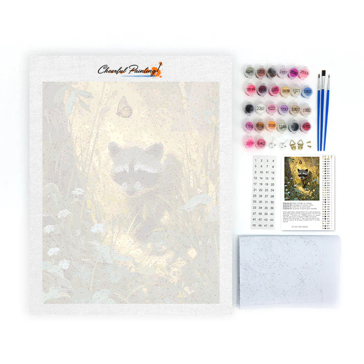 Il procione - Dipingere con i Numeri