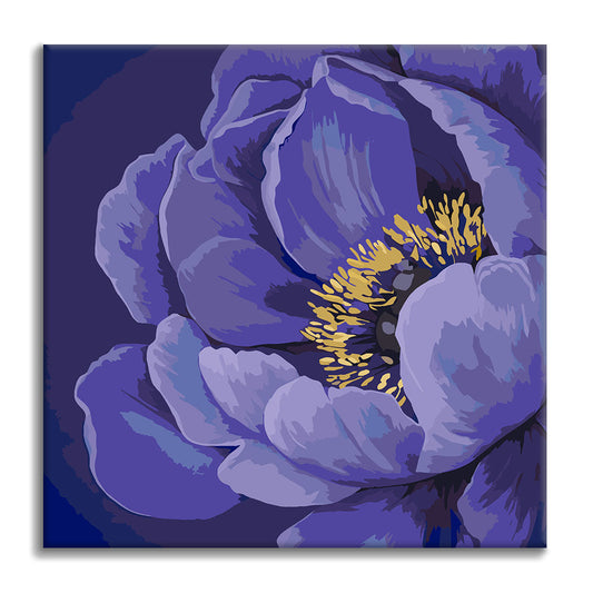 Fiore di Mezzanotte - Mini Pittura per numeri