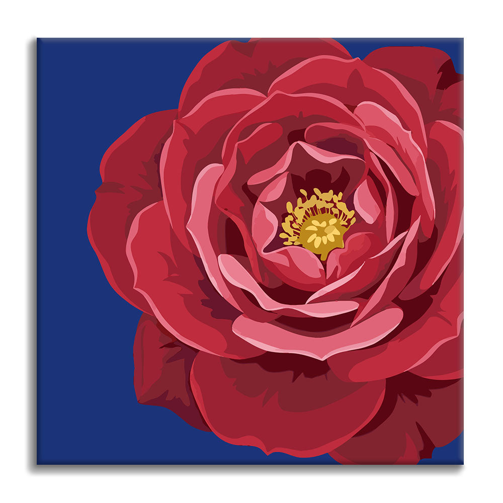 Rosso cremisi reale e azzurro - Mini Pittura per numeri