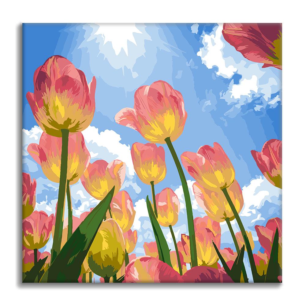 Sogno di Tulipano - Mini Pittura per numeri
