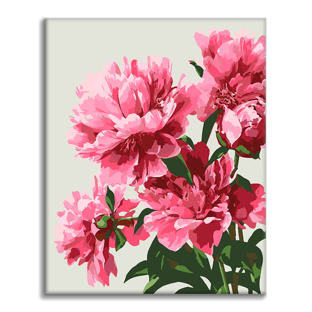 Peonie raffinate – Dipingere con i Numeri
