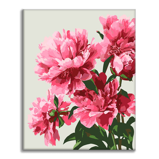 Peonie raffinate – Dipingere con i Numeri