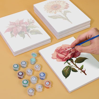Fiori - Dipingere con i Numeri