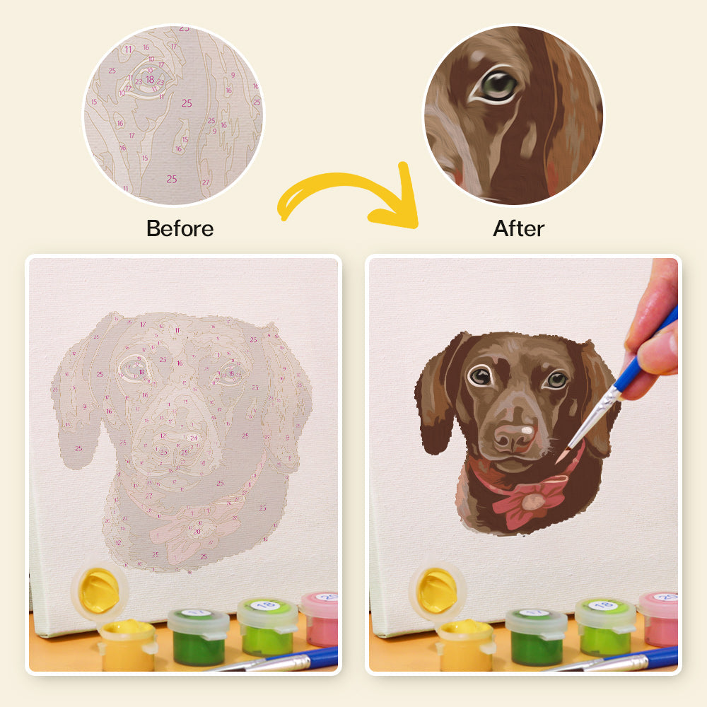 Set di cani - Dipingere con i Numeri